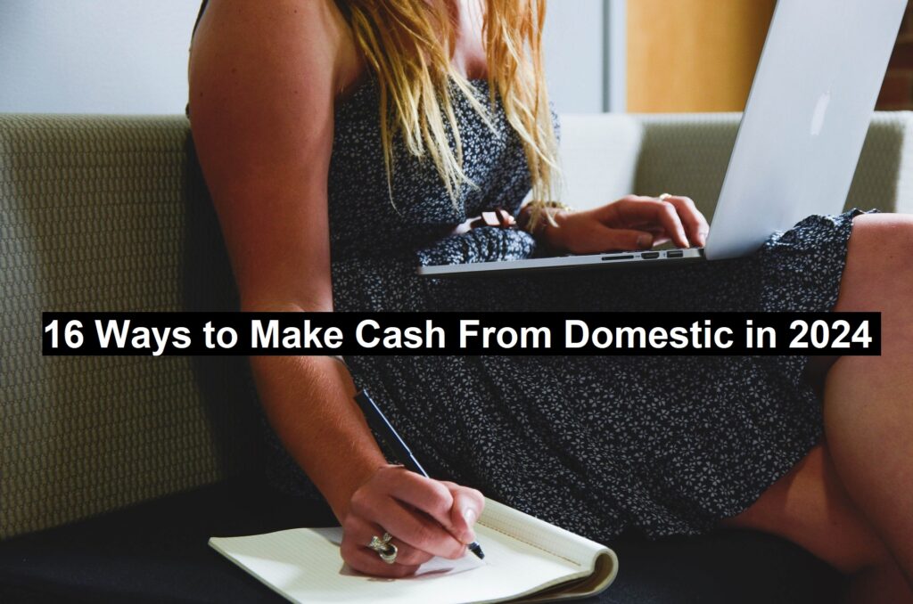 Cash From Domestic