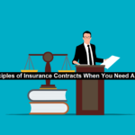 Insurance Contracts
